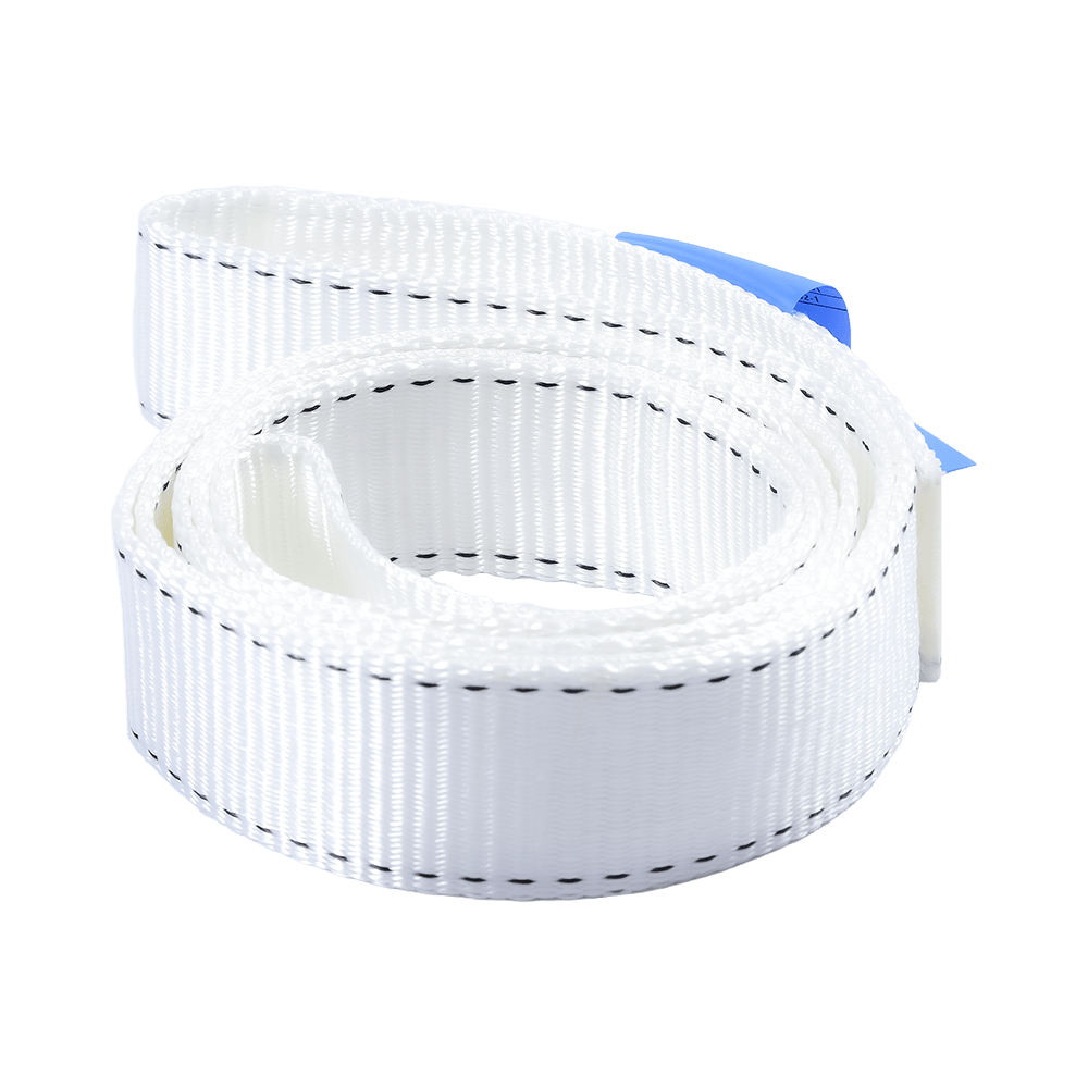 Carton sans fin de courroie de bride de sangle du polyester 100% emballé