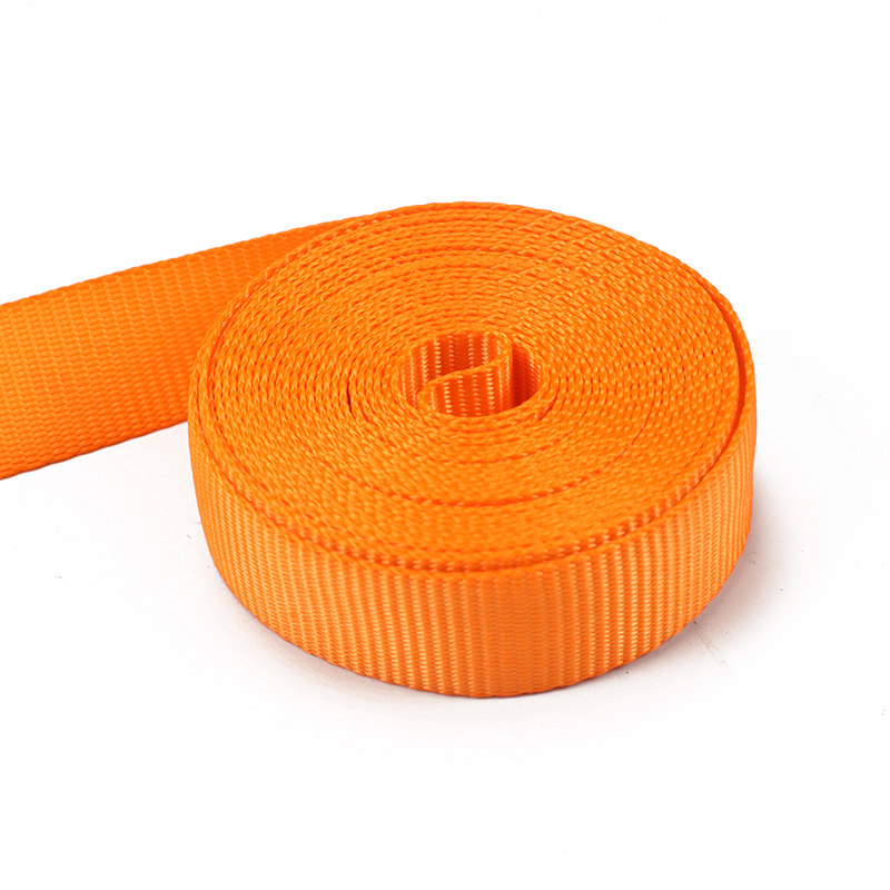 Les sangles à cliquet à double crochet en J de 25 mm (modèle BT-TDS-023)