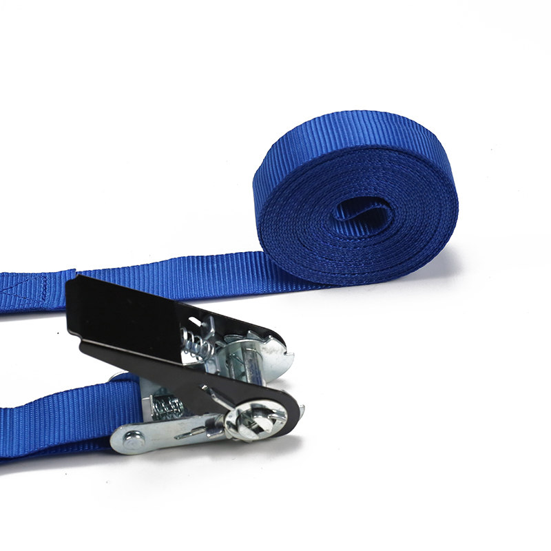 Le crochet européen de type S d'arrimage à cliquet de 25 mm (modèle BT-TDS-021)