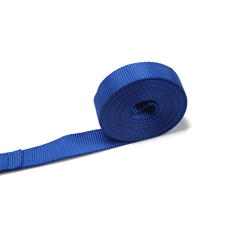 Le crochet européen de type S d'arrimage à cliquet de 25 mm (modèle BT-TDS-021)
